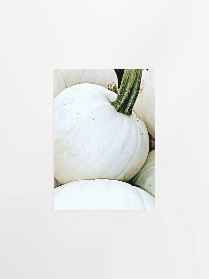 White Pumpkin product image (5)