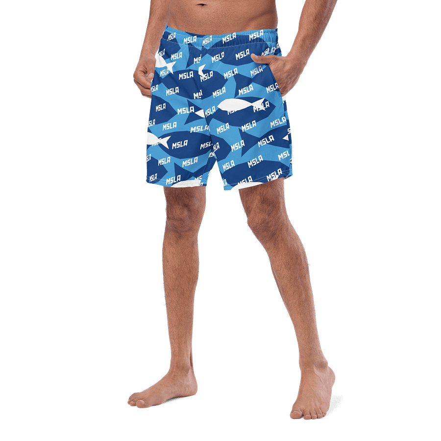 The Summer - Swim Trunks product image (3)