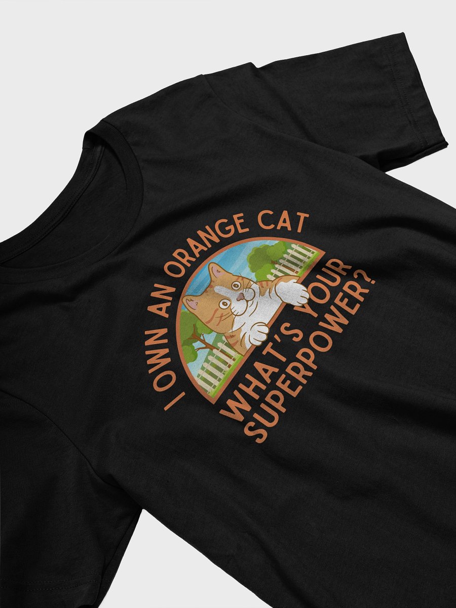 I Own an Orange Cat T-Shirt product image (12)