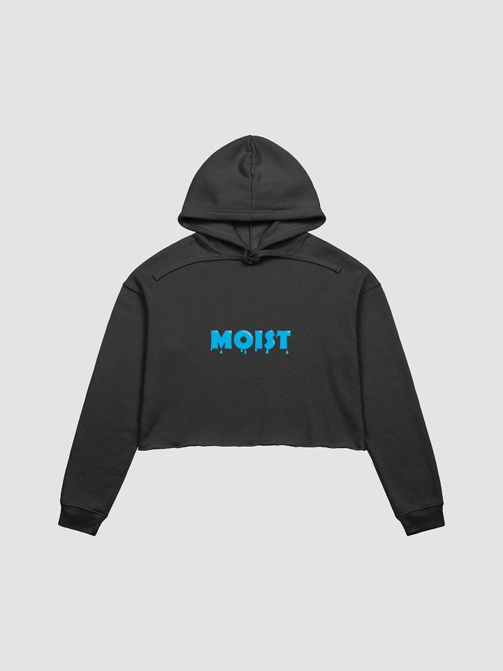 Moist Crop Hoodie product image (1)