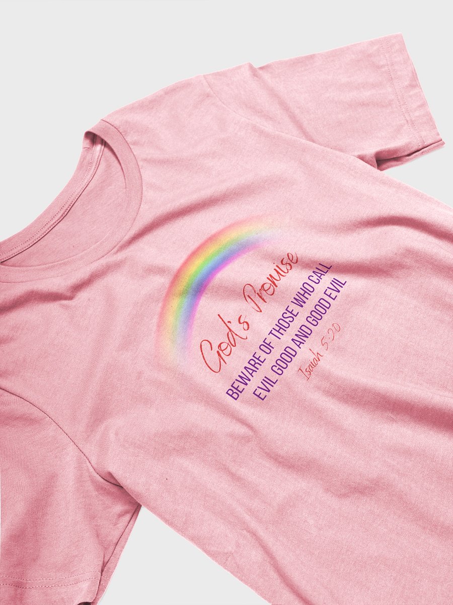 God's Promise Soft Lightweight T-Shirt product image (3)