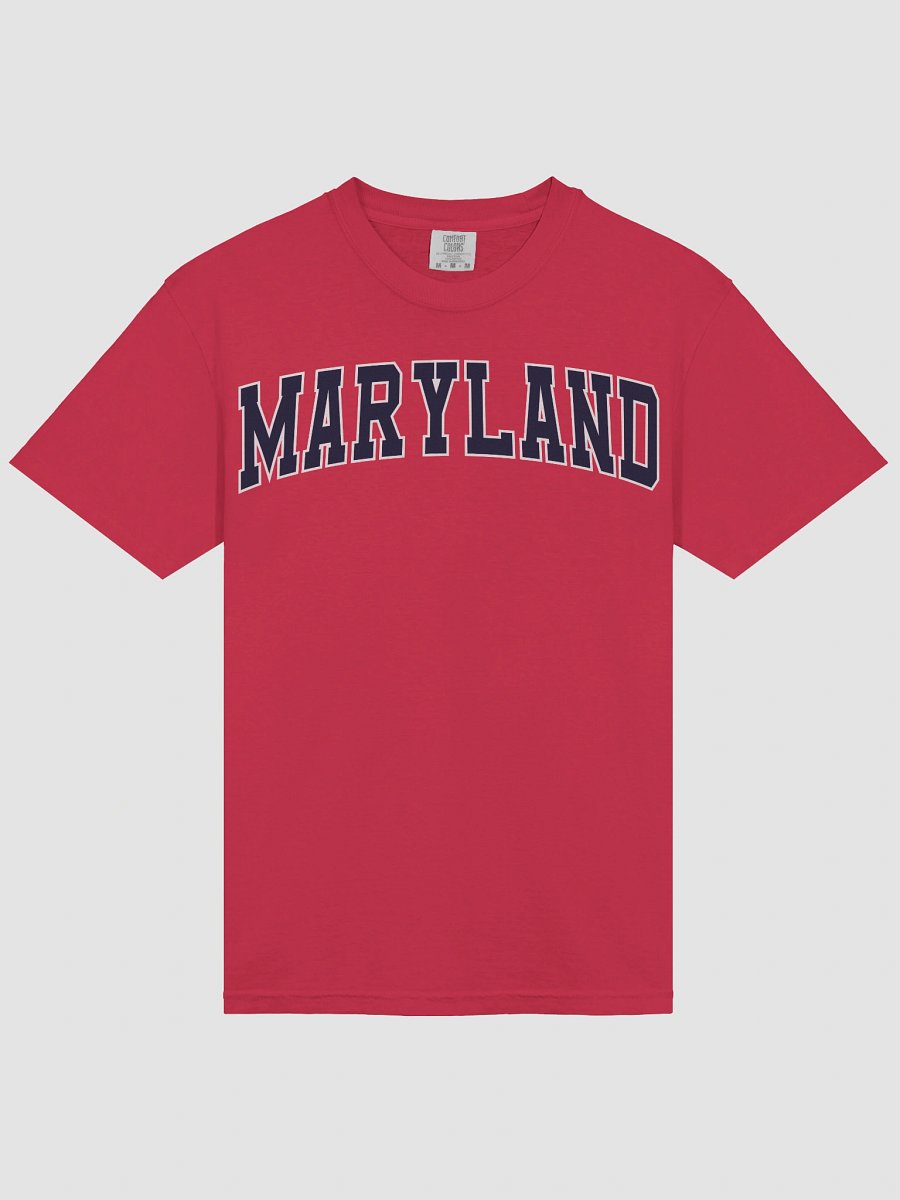 Maryland Vintage Stylish Unisex Garment-Dyed T-shirt product image (4)