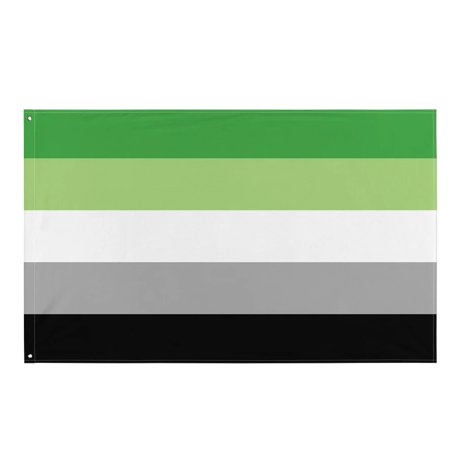 Aromantic Pride Flag product image (1)