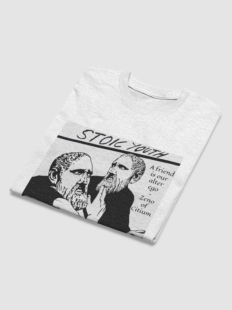 Stoic Youth Zeno of Citium quote Gildan Heavyweight T-Shirt product image (4)