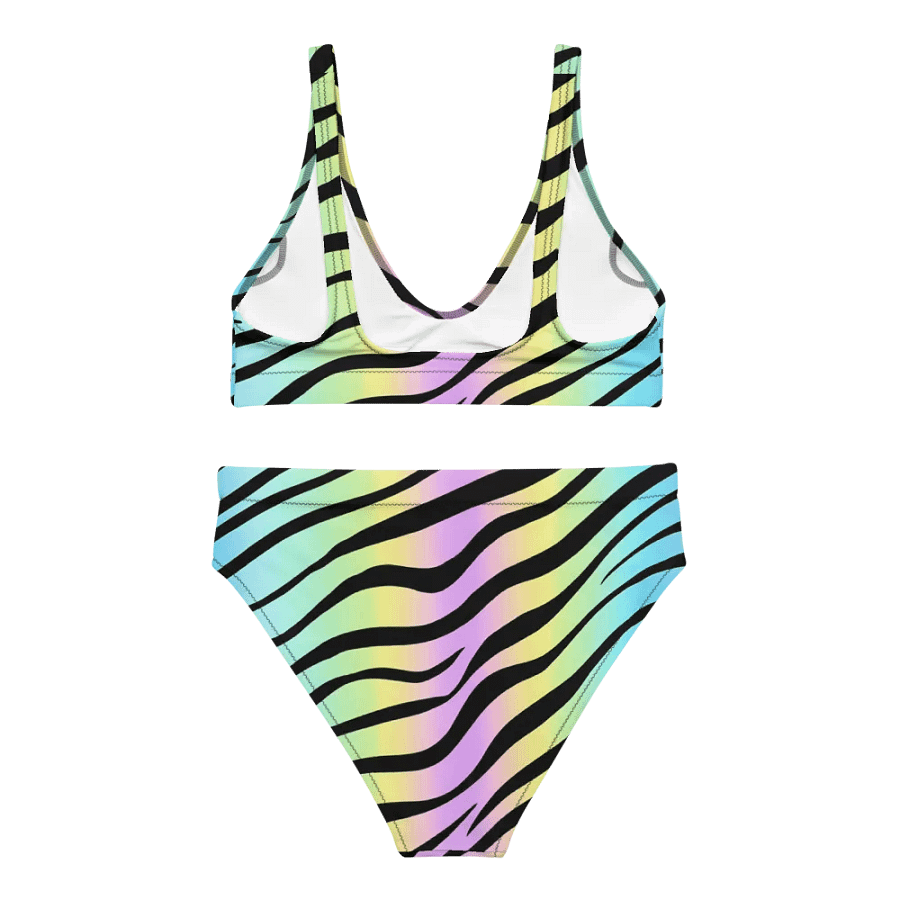 Pink Zebra Bikini product image (3)