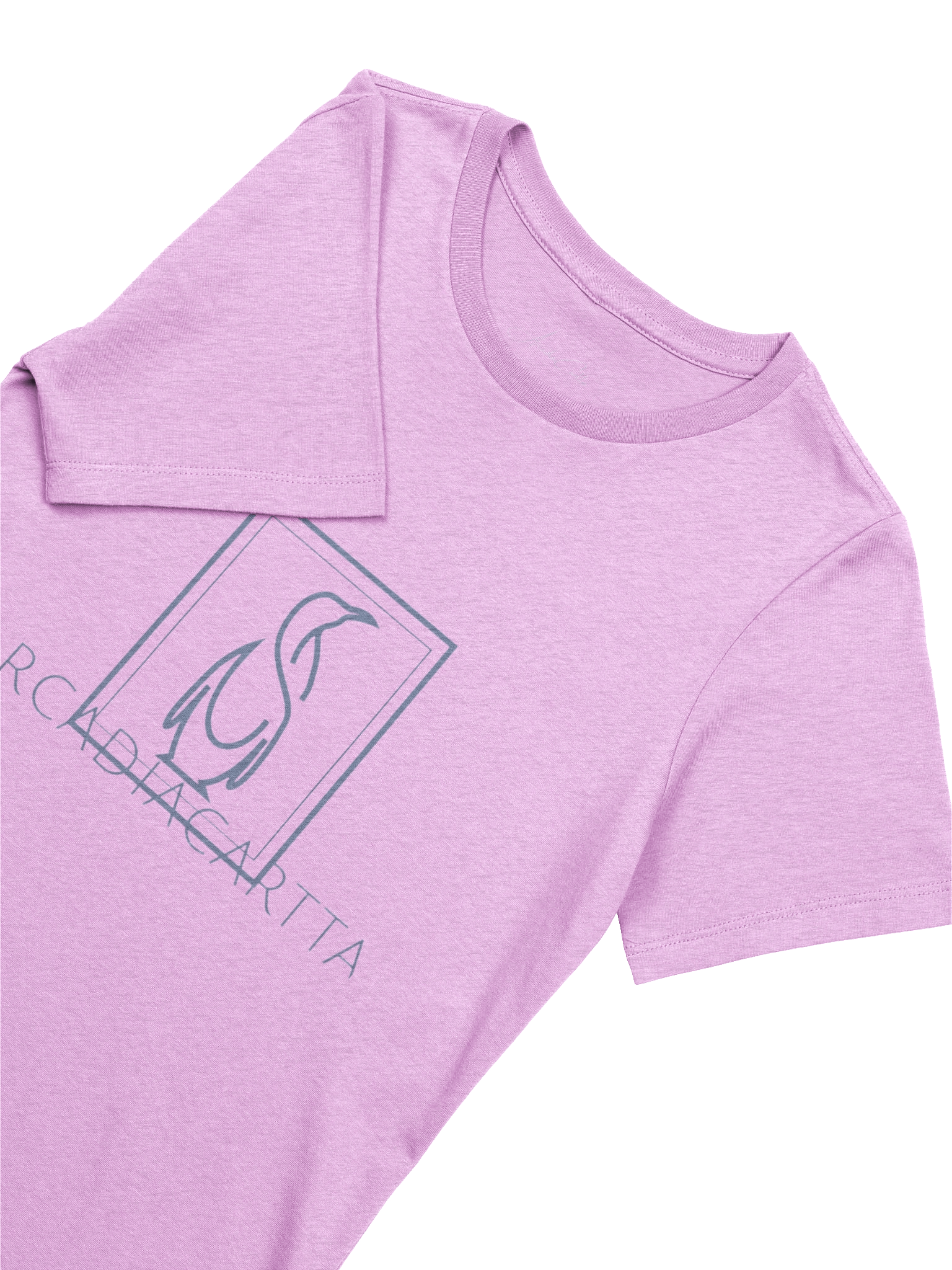 Monochrome Penguin Minimalist Logo Women's T-Shirt product image (3)