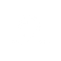 DISRUPTIVE CO.