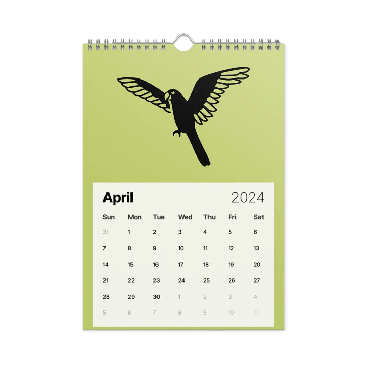 Flying in 2024 product image (1)