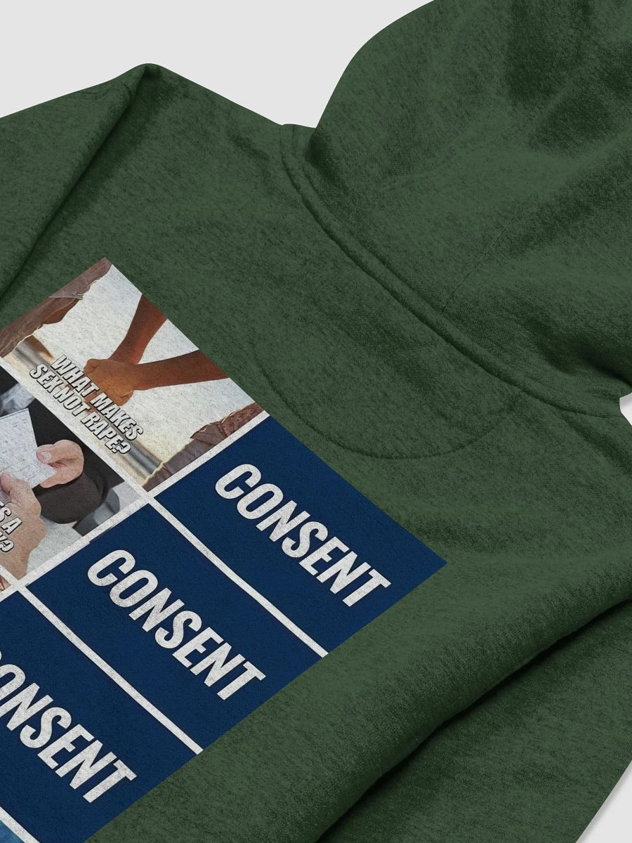 What makes taxation not theft? product image (4)