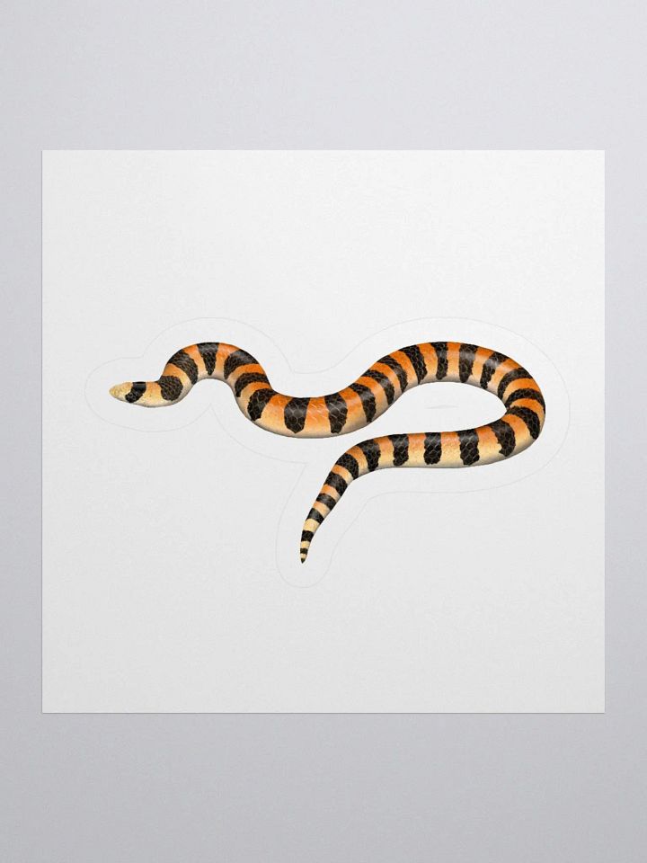 Die-Cut Sticker – Banded Sandsnake product image (1)