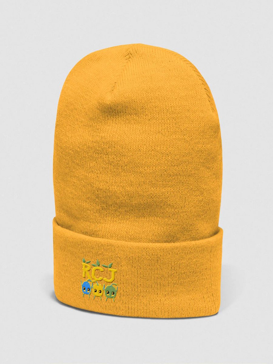 RCJ Beanie product image (22)