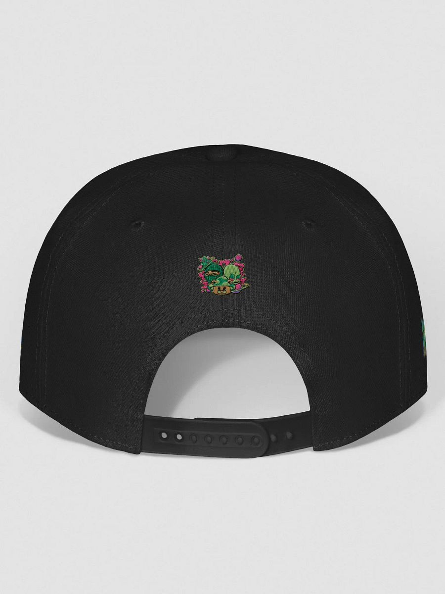 BizzWorld Drip snapback collection product image (43)