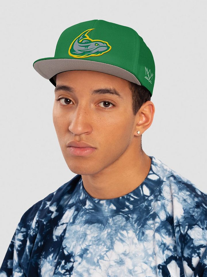 Mississippi Mudcats Gridiron Clothing Snapback Hat product image (2)