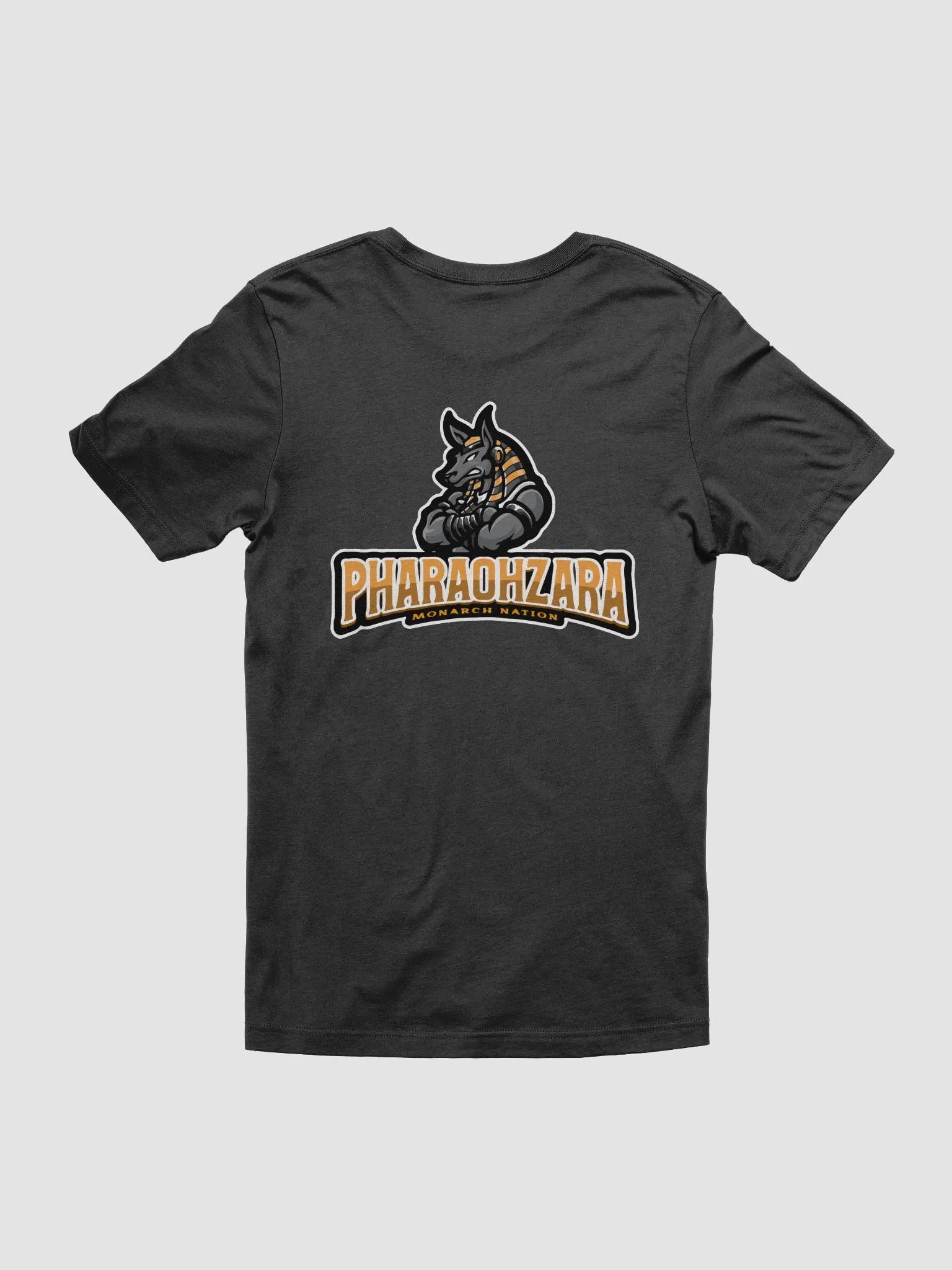 T-shirt product image (2)