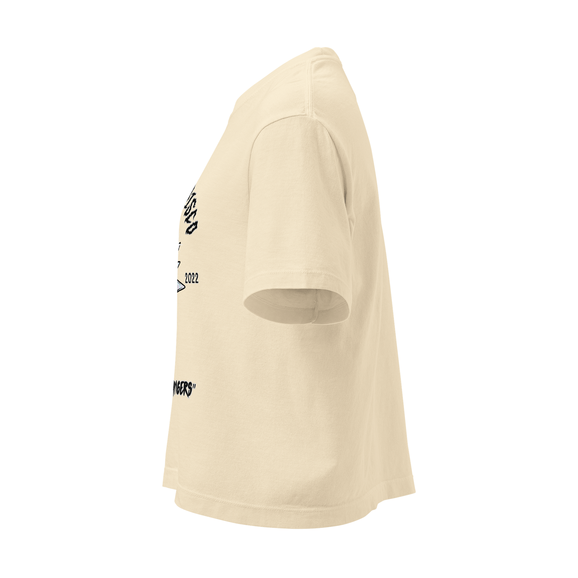Death Disco Boxy Tee - Light product image (7)