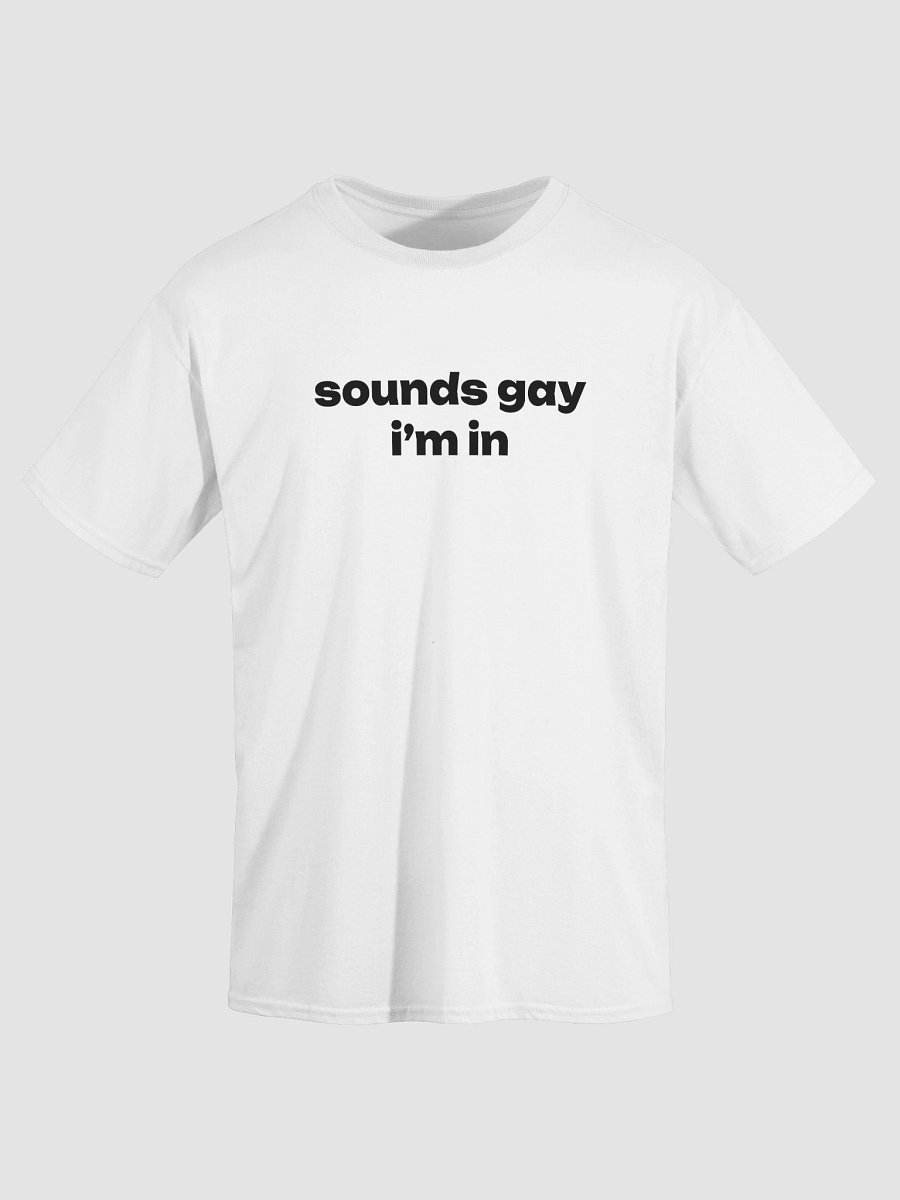 sounds gay i'm in T-Shirt product image (25)