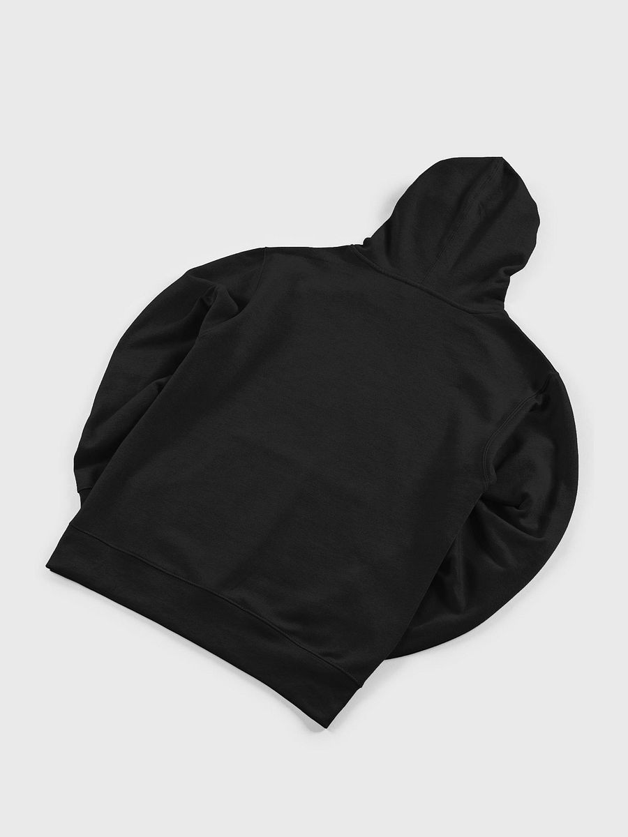 EMBROIDERED LOGO HOODIE product image (4)