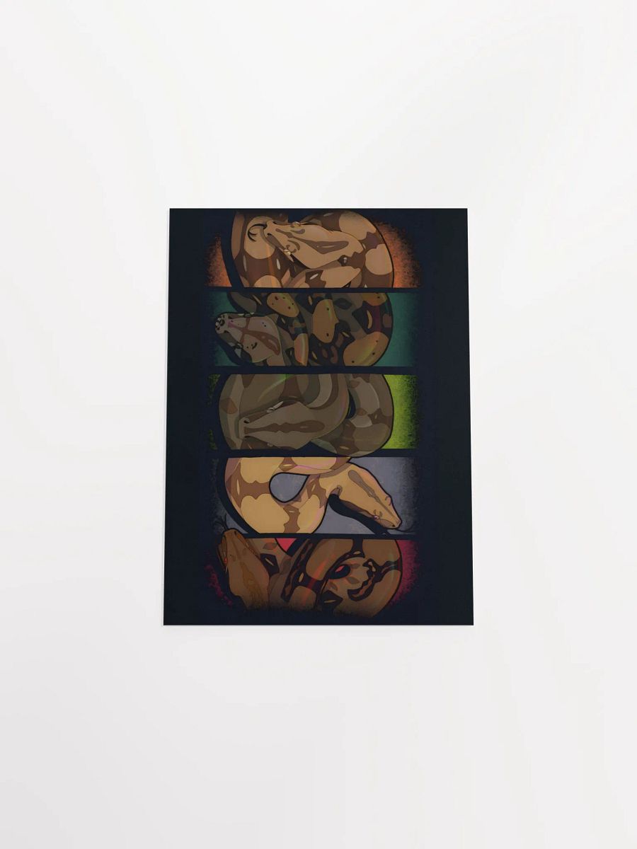 Locality Boas product image (38)