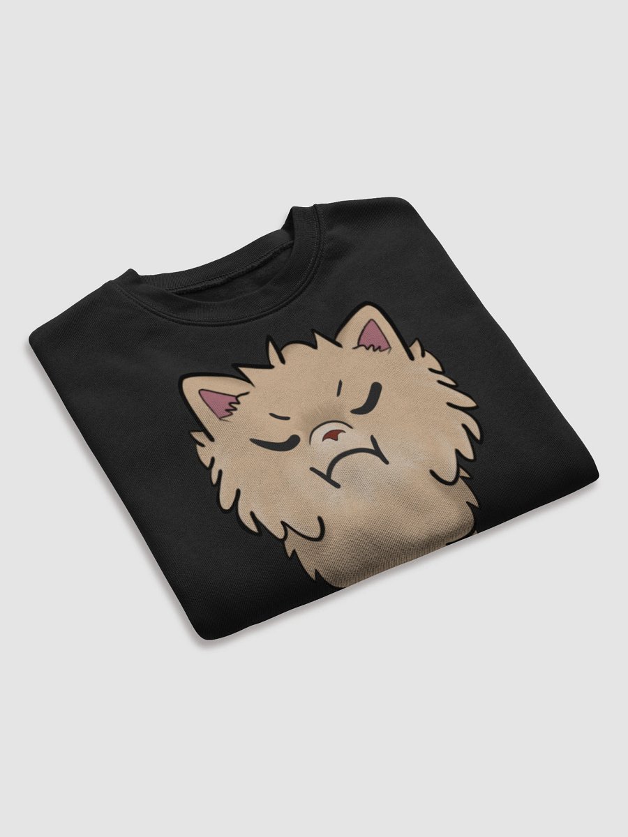 Sassy product image (7)