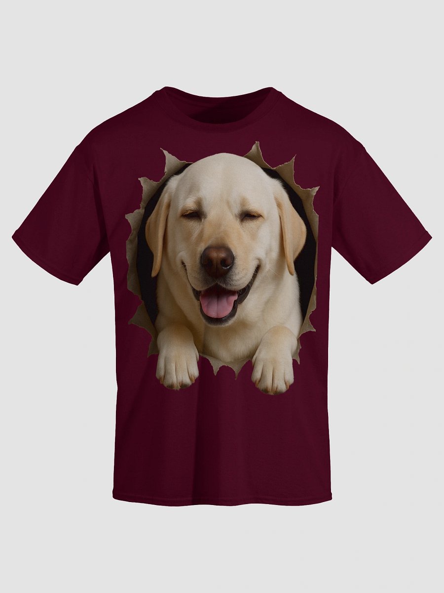 Peekaboo Labrador Puppy product image (28)