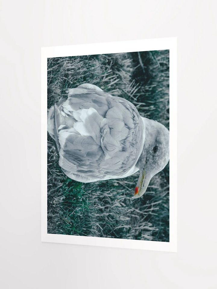 Seagull (my best buddy) product image (2)