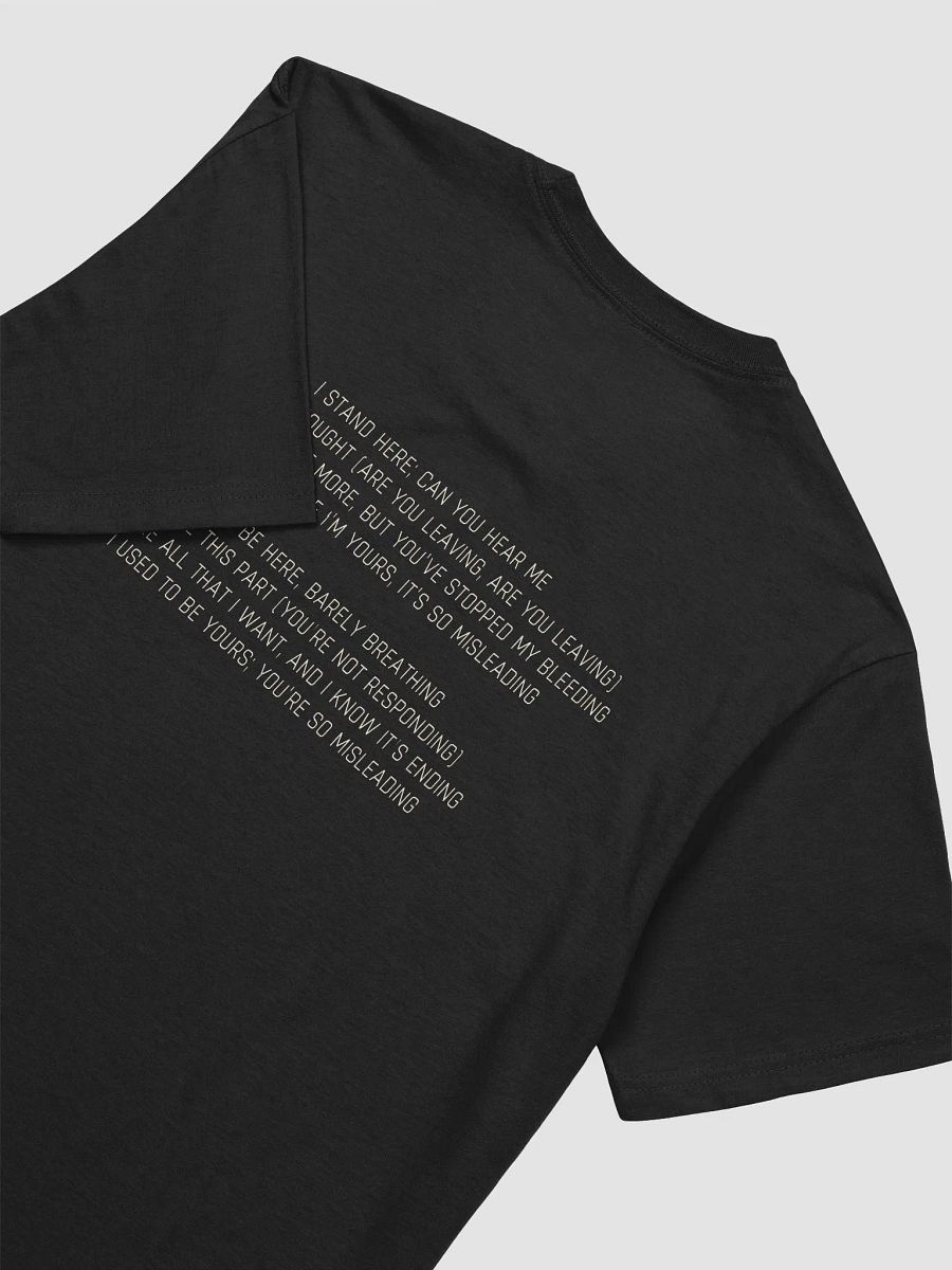 Misleading Cover (Long Term) product image (4)