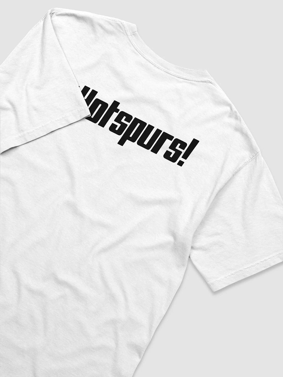 Polyhedron Shirt product image (4)