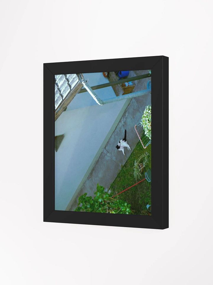 Urban Feline Serenity Poster product image (14)