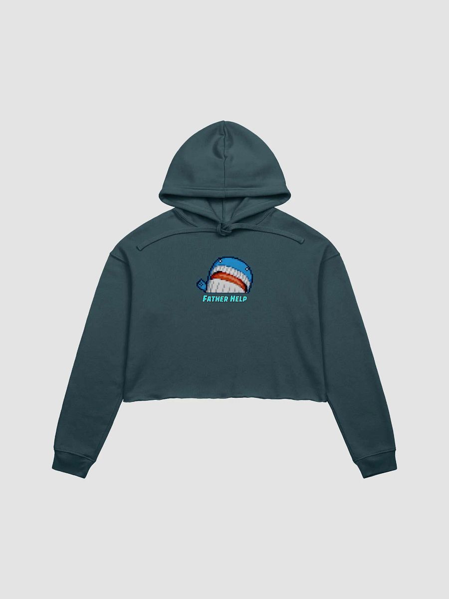 Father Help Printed Logo Cropped Hoodie product image (6)