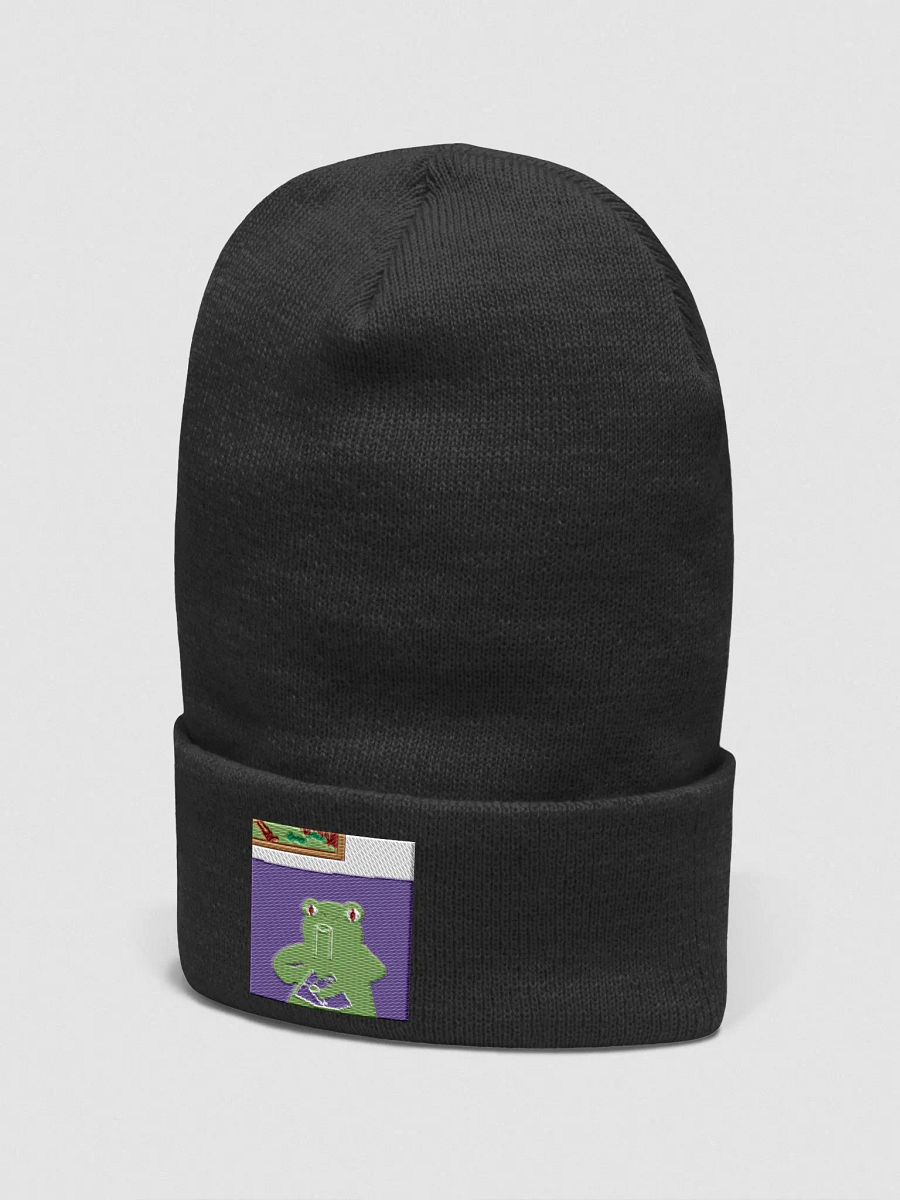 Stoned Frog beanie product image (16)
