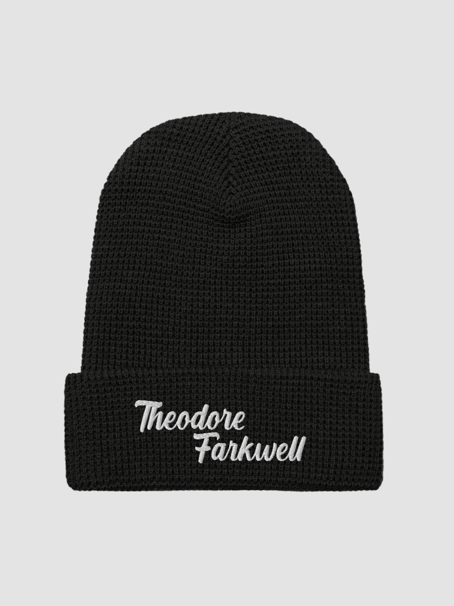 THEODORE FARKWELL BEANIE product image (3)
