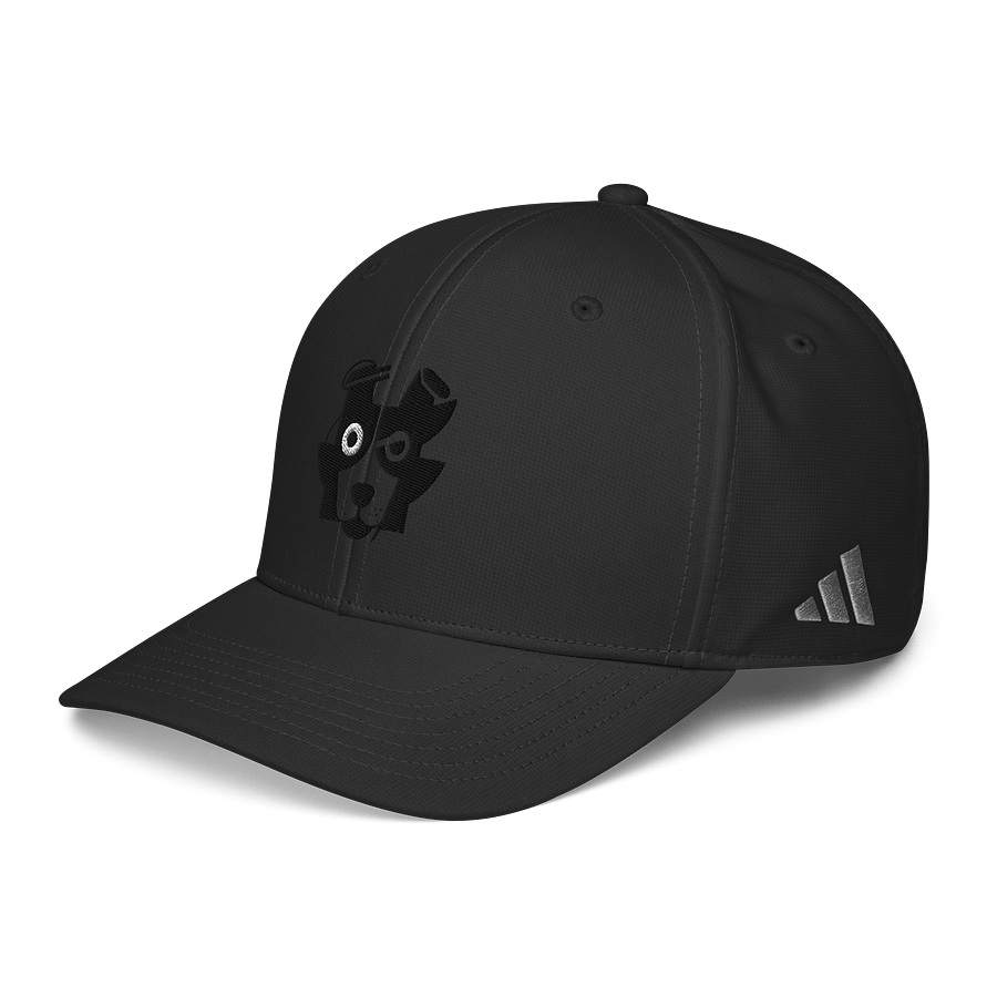 Whiskered Visionary Cap product image (4)