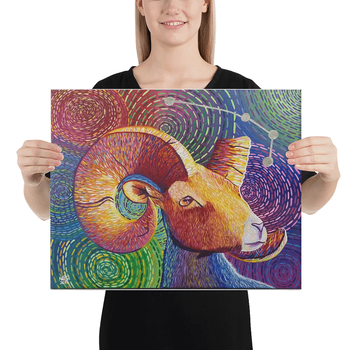 Aries Aurora product image (2)