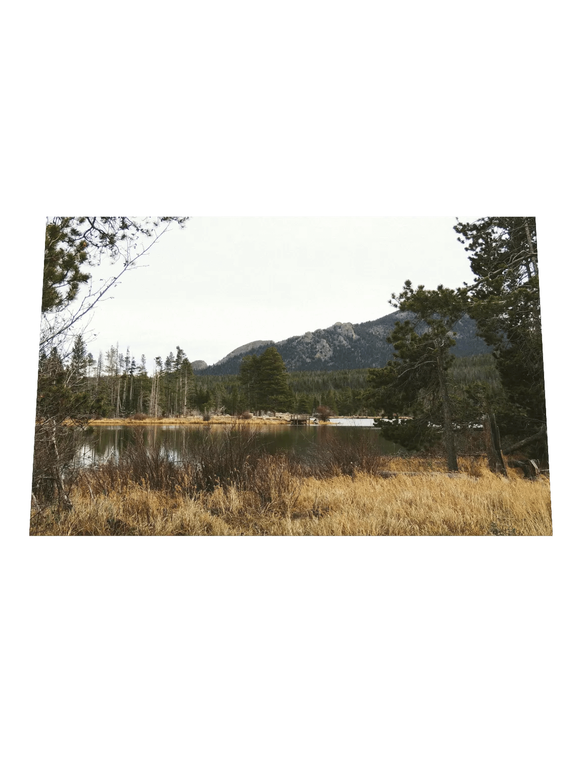 Sprague Lake Poster Print product image (2)