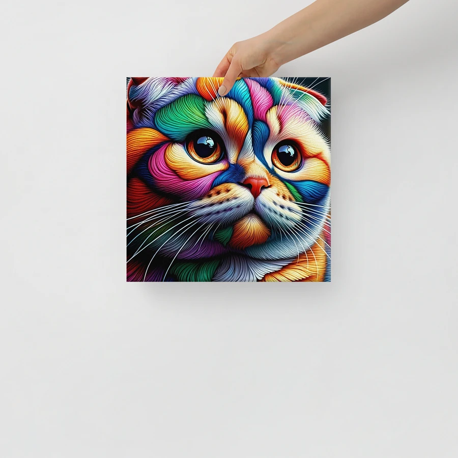 Canvas (in): Scottish Fold product image (14)