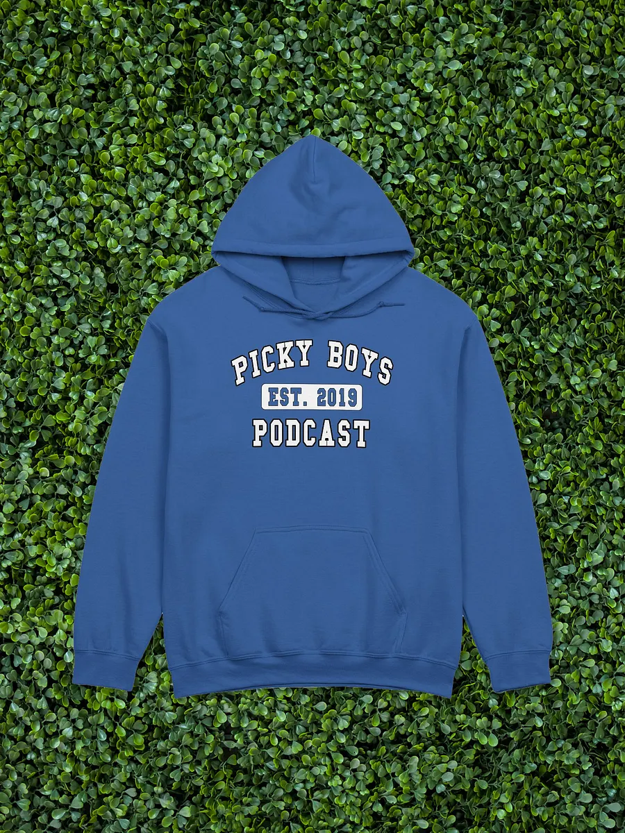 Picky Boys Est. 2019 Hoodie (9 Colors) product image (1)