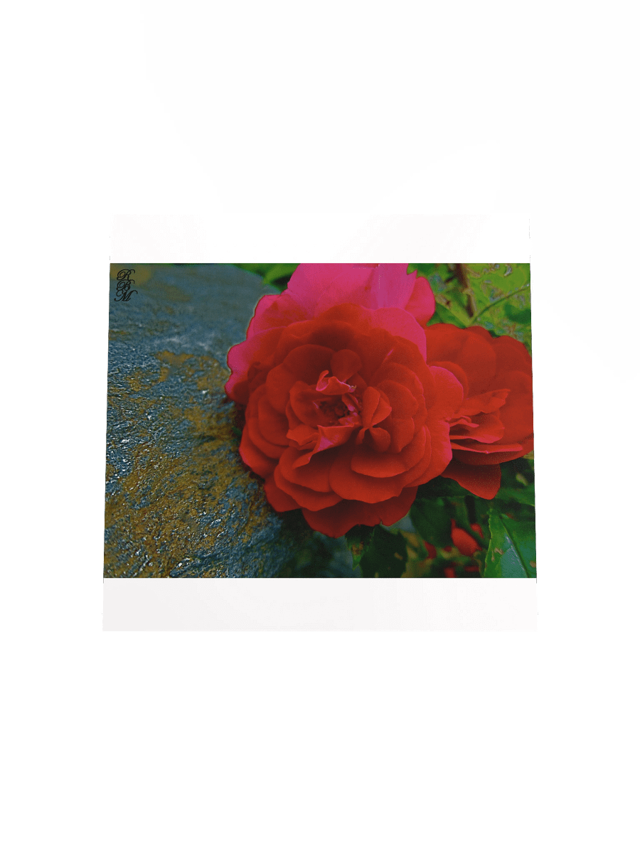 Red Flower product image (24)