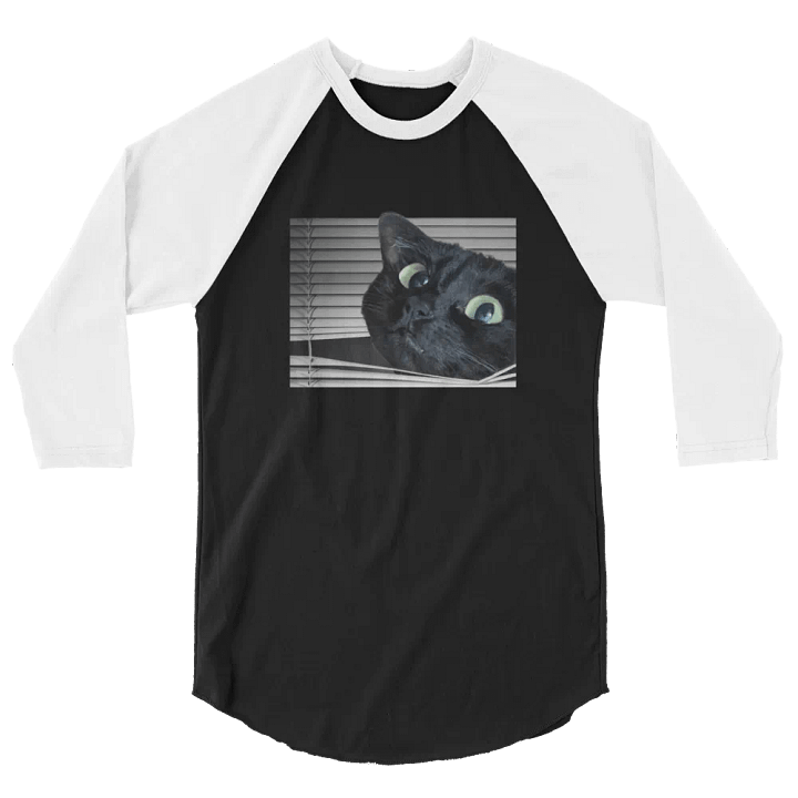 Memori Raglan Tee product image (2)