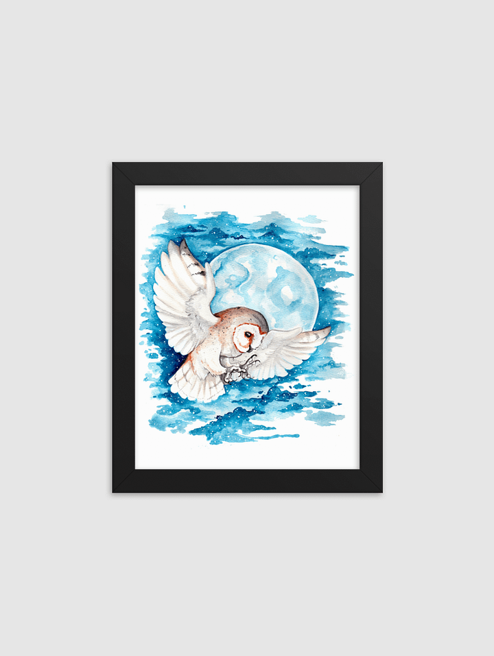 Barn Owl product image (1)
