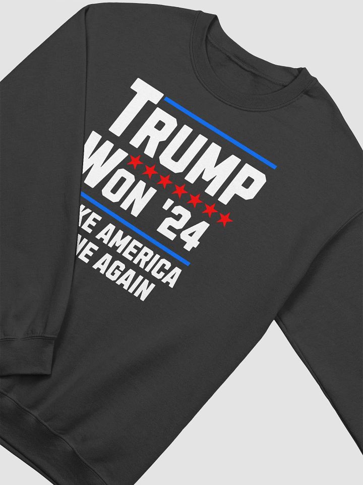 TRUMP WON 2024 MAKE AMERICA SANE AGAIN PATRIOTIC UNISEX SWEATSHIRT product image (5)