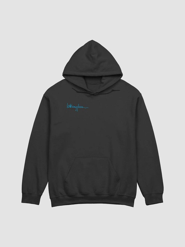 Lookingglass Hoodie product image (3)