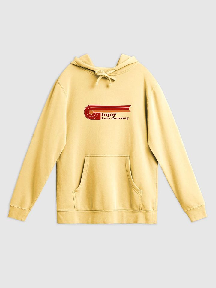 Injoy Lure Coursing Vintage Hoodie product image (5)