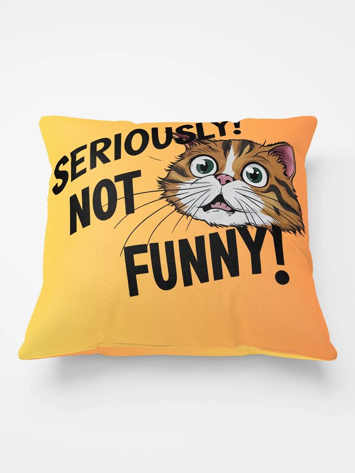 Seriously! Not Funny!