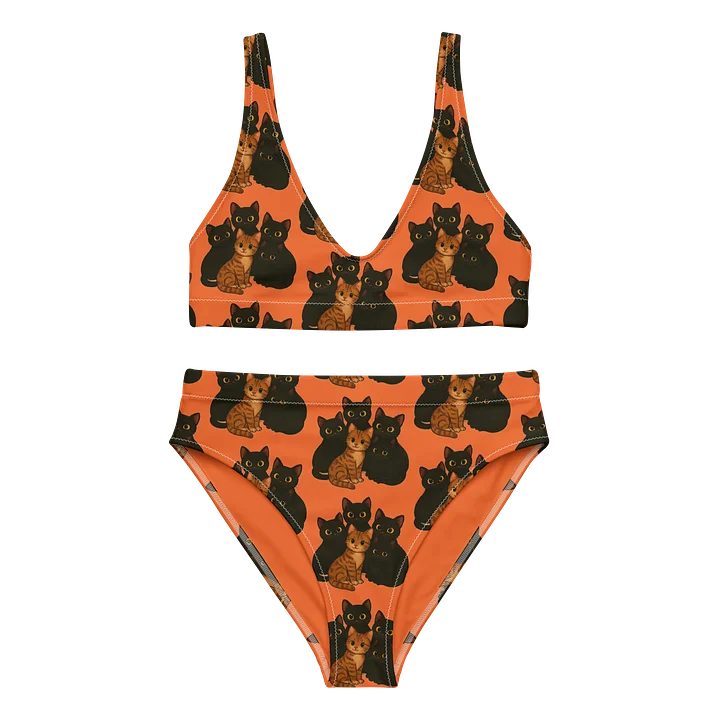 Cat High Waist Bikini Set product image (1)
