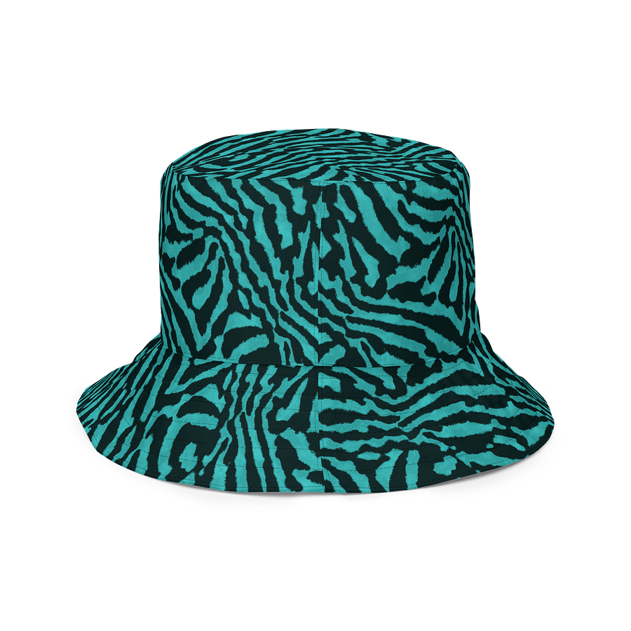 Teal Zebra Hat product image (6)