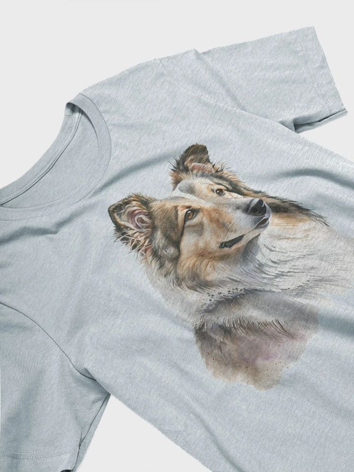Collie product image (2)