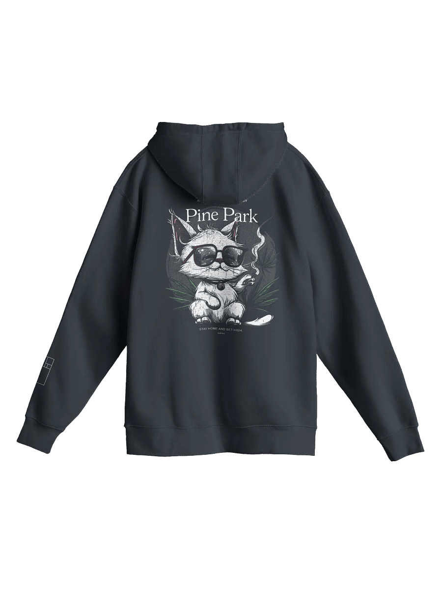 Pine Park Cat Mascot Hoodie product image (4)