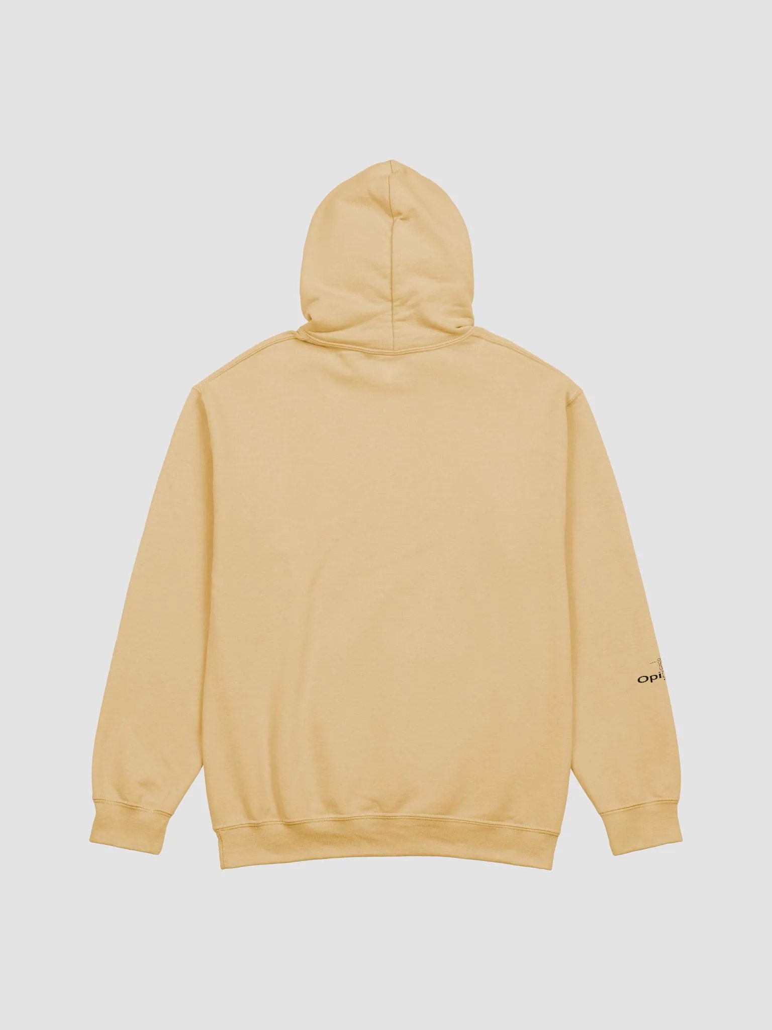 Conspiracies Are Real - Santa Claus - Gildan Classic Hoodie product image (28)