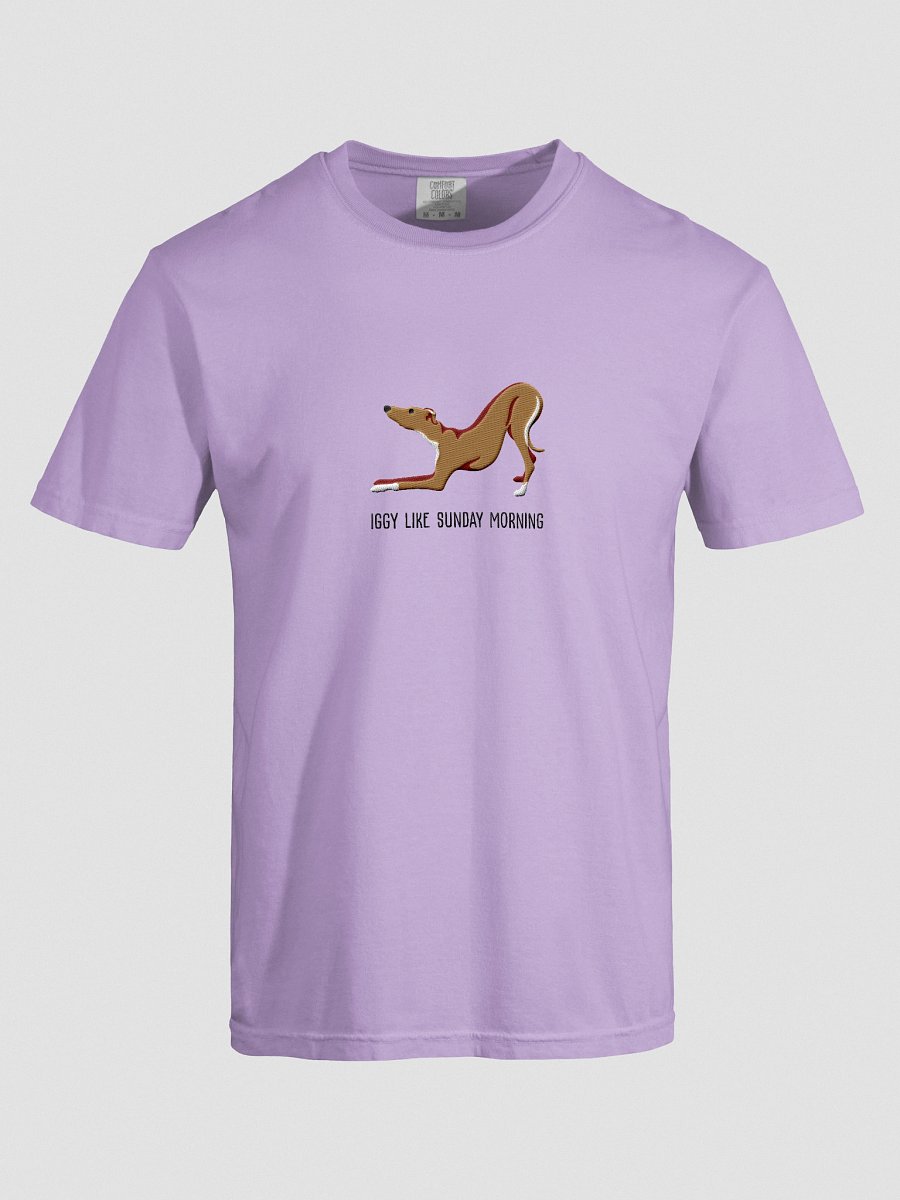 Iggy Like Sunday Morning T-Shirt(Embroidered) of an Italian Greyhound(Tan) product image (47)
