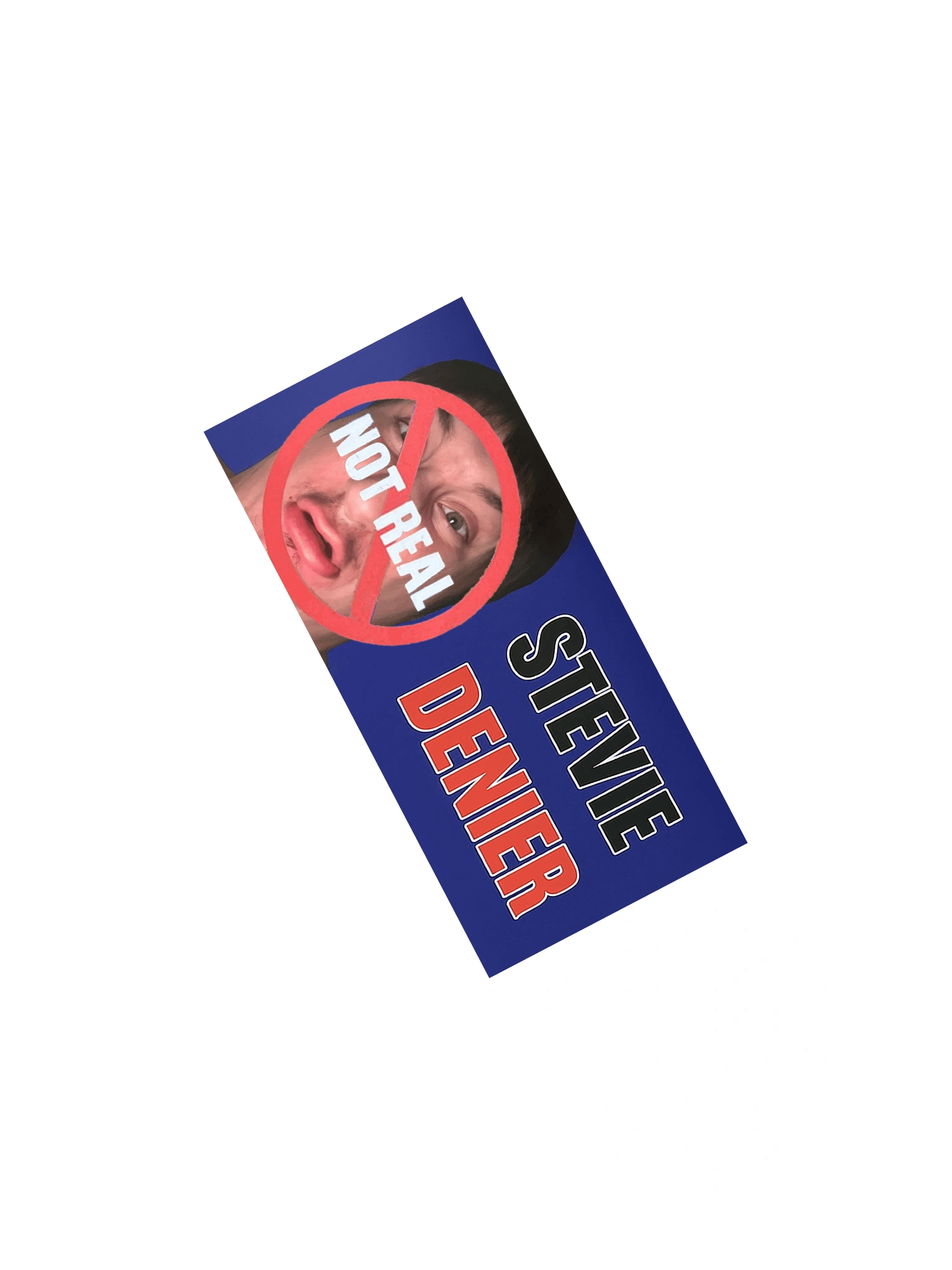 Stevie Sticker (wide) product image (2)
